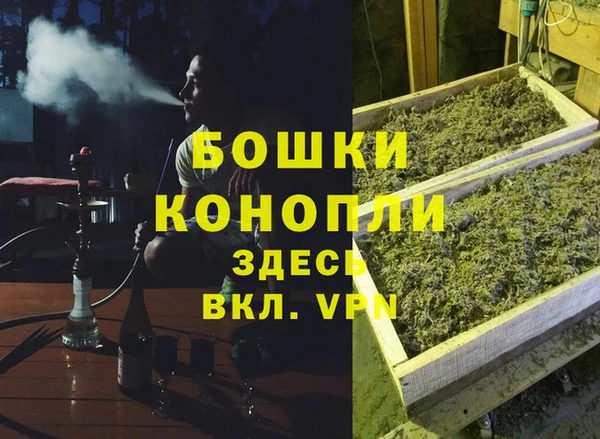 трава Аркадак